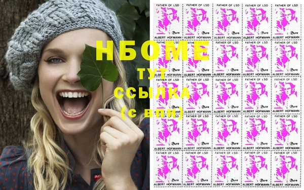 сатива Володарск