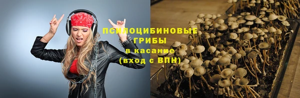 сатива Володарск